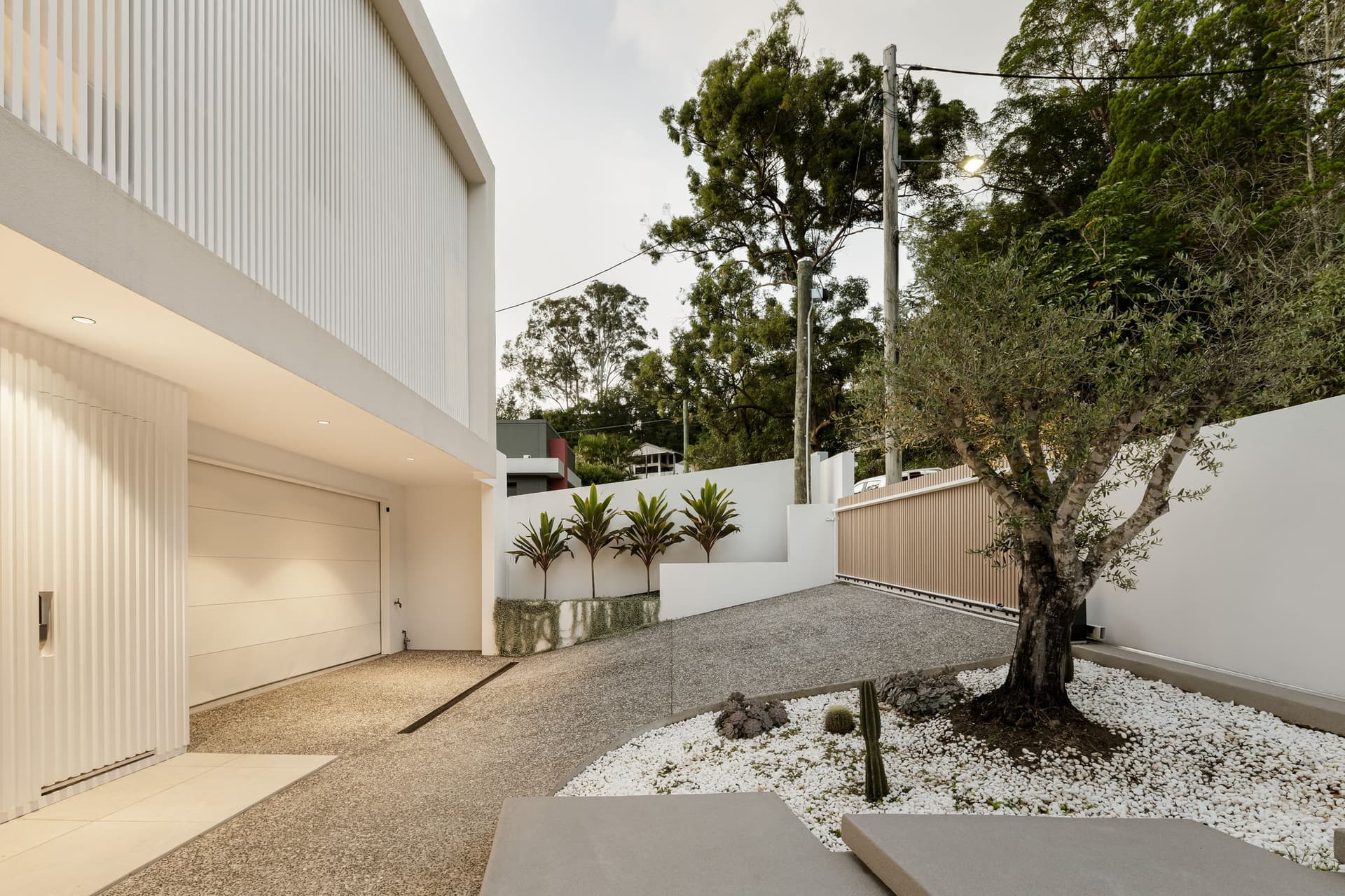 Entry court with olive tree and gravel garden